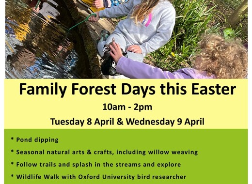 Hill End   Easter family day april 25